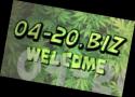 77208_rQsFsJlKXt.