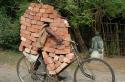 77238_a_aaa-funny-Indian-bicycle.