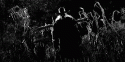 77401_tumblr_mgzqnu1W031s0o9e6o1_500.