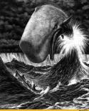 77466_art-more-kit-Mobi-Dik-468778.