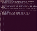 77553_traceroute.