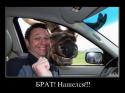 77625_brat.