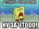 7767_spanch-bob_51445230_orig_.