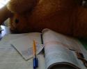 77817_Snapshot_20140908.