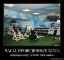 77916_1288695295_nw7n0sdks5ll.