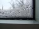 77957_condensate.