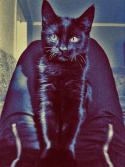 78105_Foto0563.