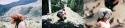 78119_1E5XJEDQC_w-horz.