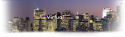 78334_header.