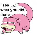 7845Slowpoke-sees.