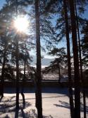 7846_image.