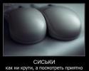 78476_jz7te1vwaute.