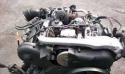 78503_9959350tabettuladaris8494501.