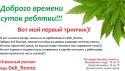 78704_Tripchik1.