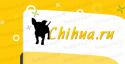 7882chihua.