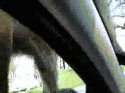 78836_in3.