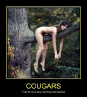 78868_Cougar_branch_rest.