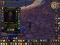 78889_WoWScrnShot_070912_224930.