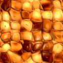 7895_amber_beads1.