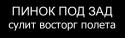 7898768080-2011_07_01-03_52_58-bomz_org-demotivator_pinok_pod_zad_sulit_vostorg_poleta.