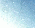 79017_Logo-Gif.