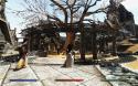 79027_TESV_2014-01-31_16-45-51-95.