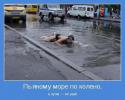7907Humor_3.