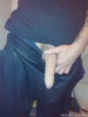 7913_image.