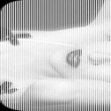 7916title137292653.