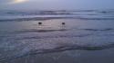 79235_IMAG0184.