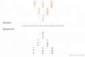 79285_20140715-8w6-11kb.