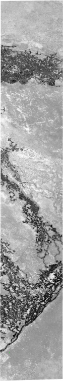 79310_2012d.