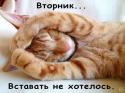 79549_23f567a884aa970af2450902f1cec535.