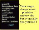 79819_anger.