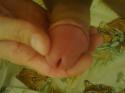 79863_Foto0574.