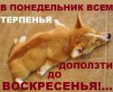 79966_MEh7u2EvIAo.