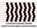 79976_1.