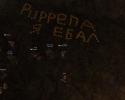80067_pupena.