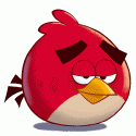 80137_Angry_Bird_Red_Animation_Loop.