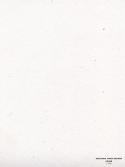 80367_4-speckletone_starch_white.