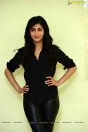 80381_shruti.