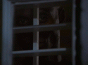 80391_Untitled2.