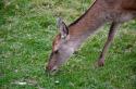 80535_oct-07lir.