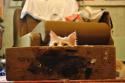 8057DSC_2187_01.