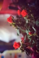 80679_tumblr_m5k0cdlqlN1rxnmc1o1_500.