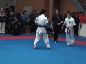 8069_gifki-karate-udar-bayan-658302.