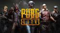 80733_PUBG-Lite-735x400.