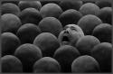 80837_crowd62.