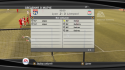 8097lion_2.