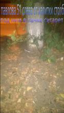 81067_PicsArt_13_08_2014_3_13_50.